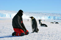 Cruise to Antarctica